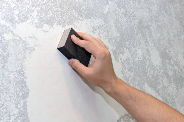 Forensic Mold Investigation in Kirtland, OH