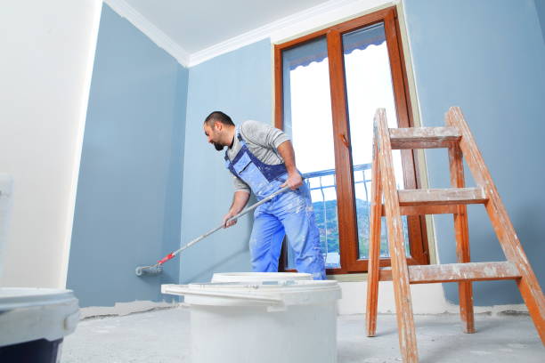 Best Basement Mold Removal  in Kirtland, OH