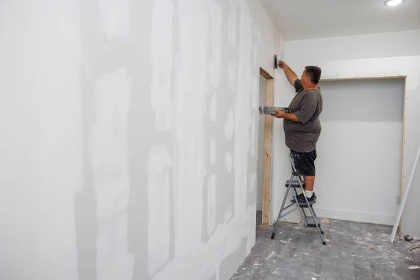 Mold Documentation for Insurance Claims in Kirtland, OH