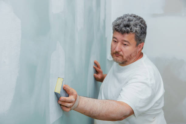 Best Emergency Mold Remediation  in Kirtland, OH