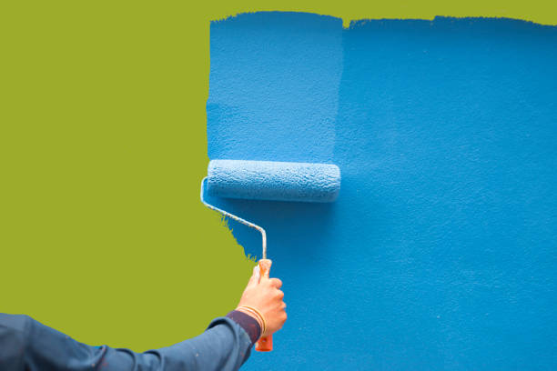Trusted Kirtland, OH Mold Removal Experts